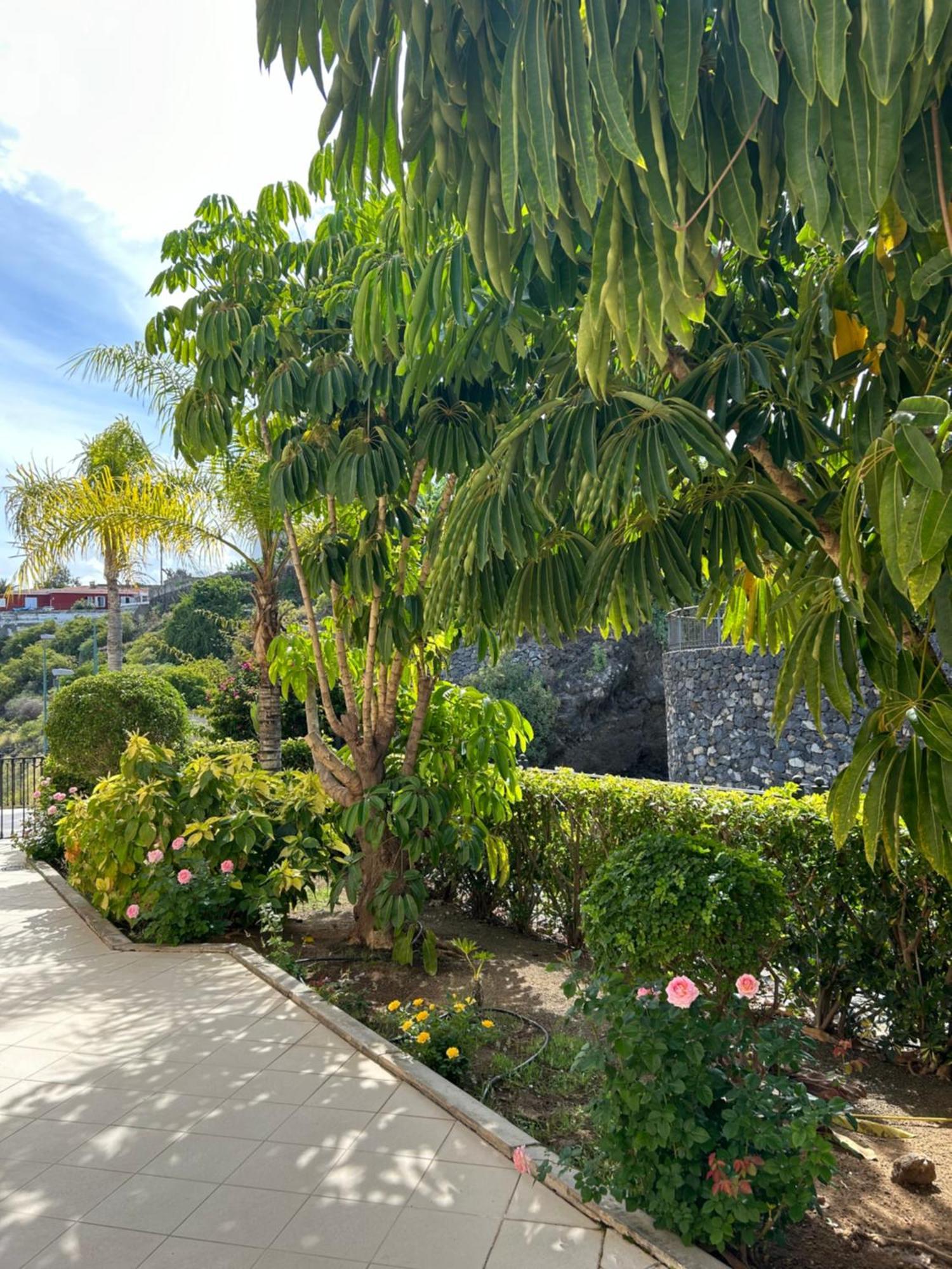 Hermosa Vista Puerto de la Cruz  Exterior photo